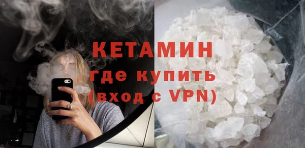 прущие грибы Бородино