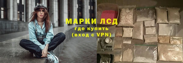 прущие грибы Бородино