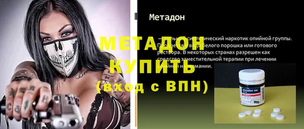 прущие грибы Бородино