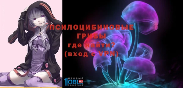 тгк Бугульма
