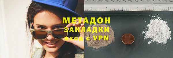 прущие грибы Бородино