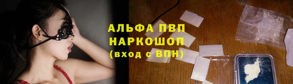 прущие грибы Бородино