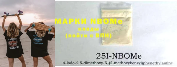 прущие грибы Бородино