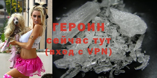прущие грибы Бородино