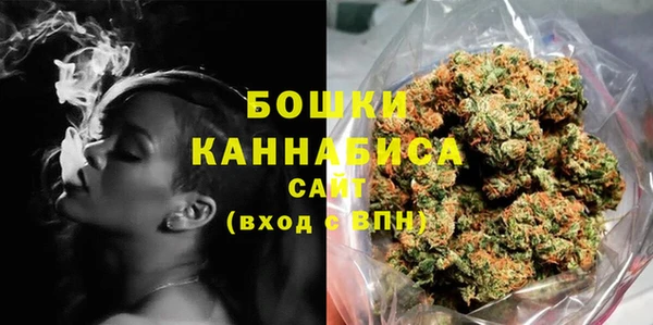 прущие грибы Бородино