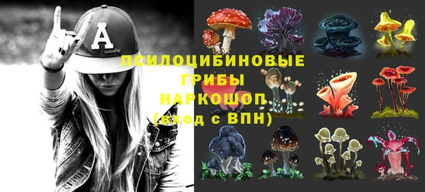 прущие грибы Бородино