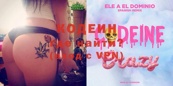 прущие грибы Бородино